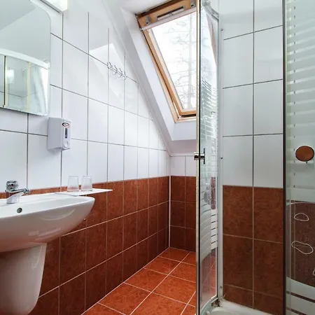 Casa de hóspedes Vila Furnica Călimăneşti
